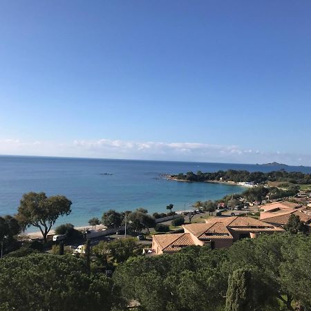 Superbe Appartement T2 Vue Magnifique Sanguinaires A 50M De La Plage Аяччо Екстер'єр фото